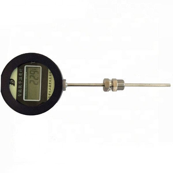 Digitale RTD -thermometer