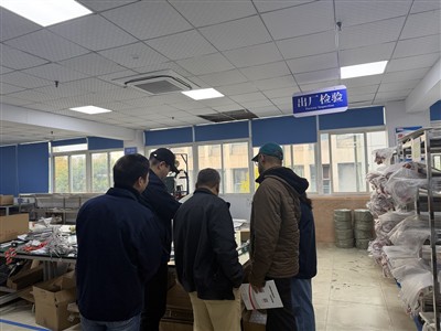 Mondiale banden versterken: on-inspectie ter plaatse van thermokoppelproducten door vertegenwoord...