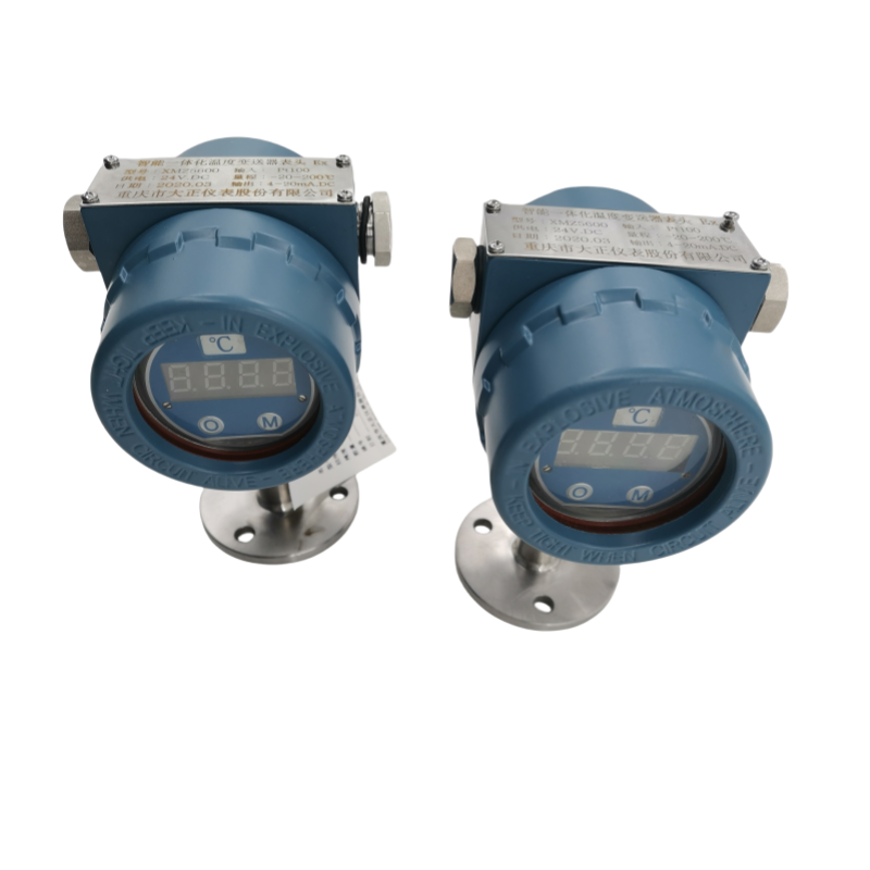 Explosion-proof digital display Rtd Sensor Explosion-proof digital display Rtd Sensor