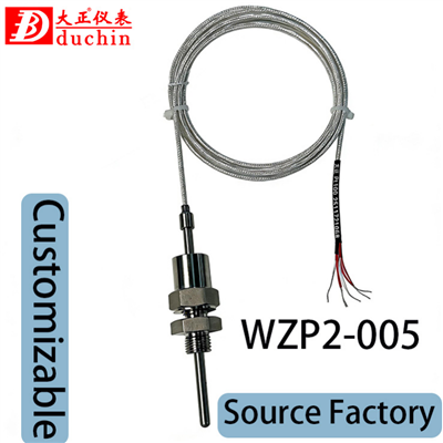 Klasse A PT100 dubbele temperatuursensor met 1/2 '' NPT-draad OEM/ODM aangepaste ondersteuning