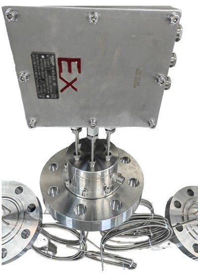 Explosie-veilige multi-point weerstandstemperatuurdetector (RTD)-sensoren