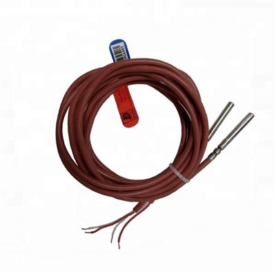 RTD PT100 Temperatuursensor