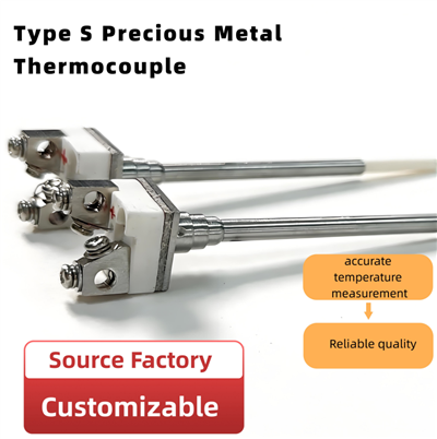Type S edelmetalen thermokoppel hoge-precisietemperatuursensor voor industrieel smelten van hoge--ovens